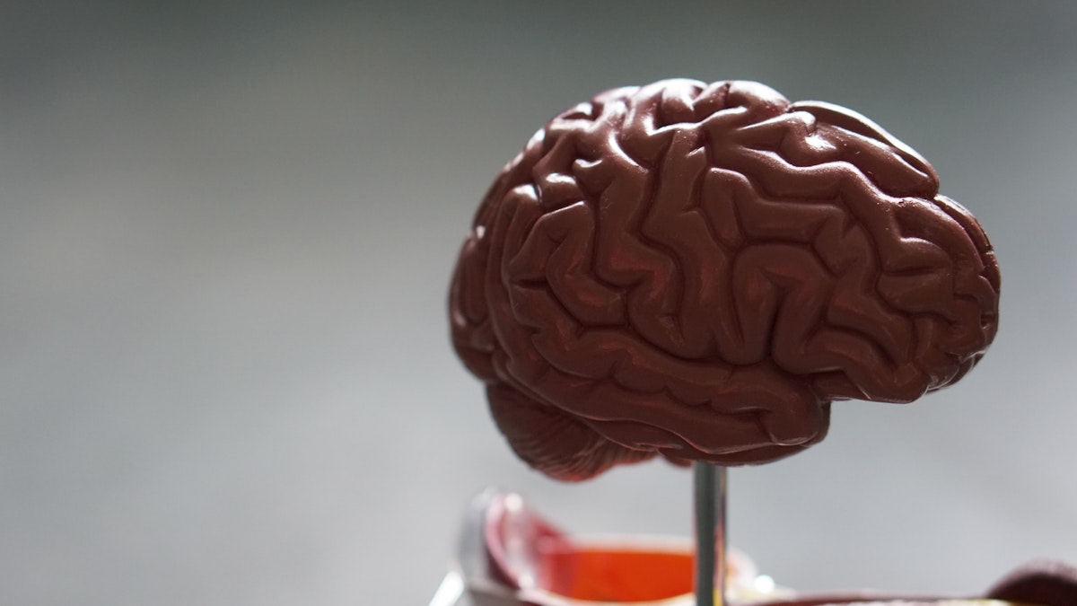 Disturbi del Neuroviluppo - Istituto Neuroscienze