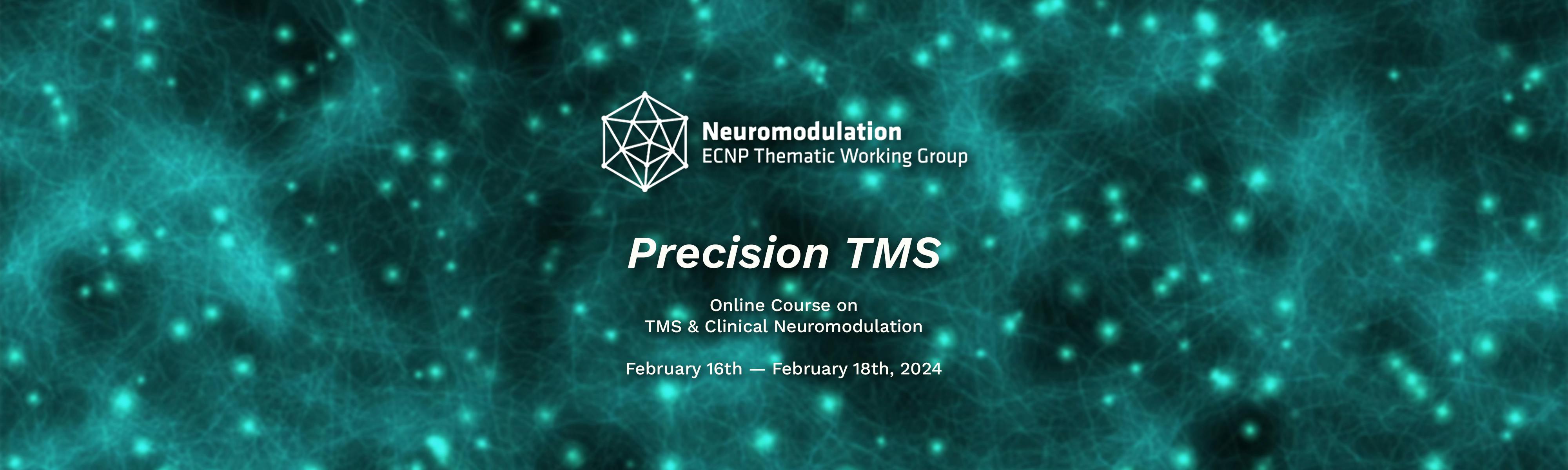 Logos of the Neuromodulation ECNP Thematic Working Group on an image of neuronal networks as a background.