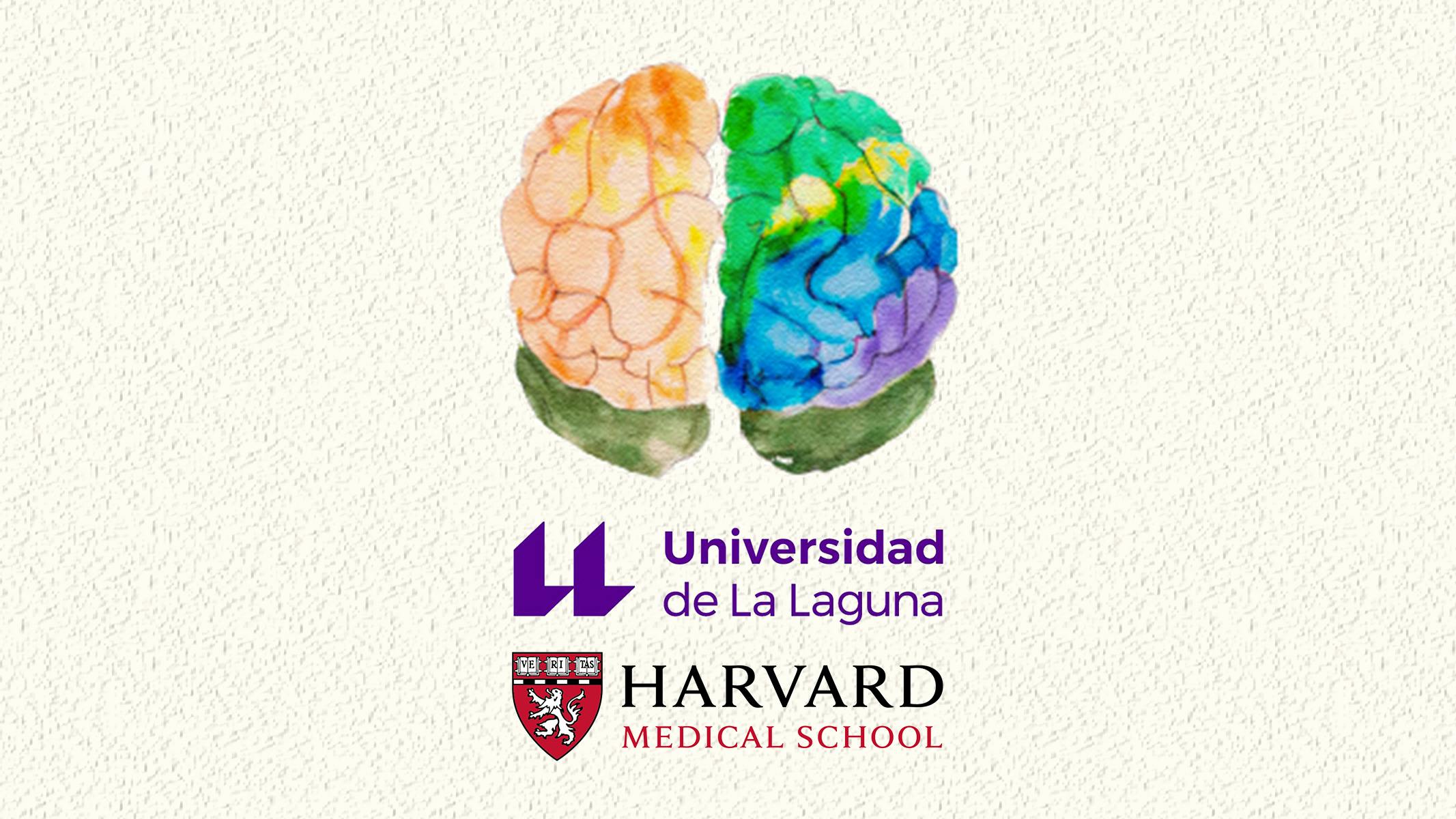 Artistic illustration of a colorful brain underlying which are positioned the logo of Universidad de La Lagura and the logo of Harvard Medical School.