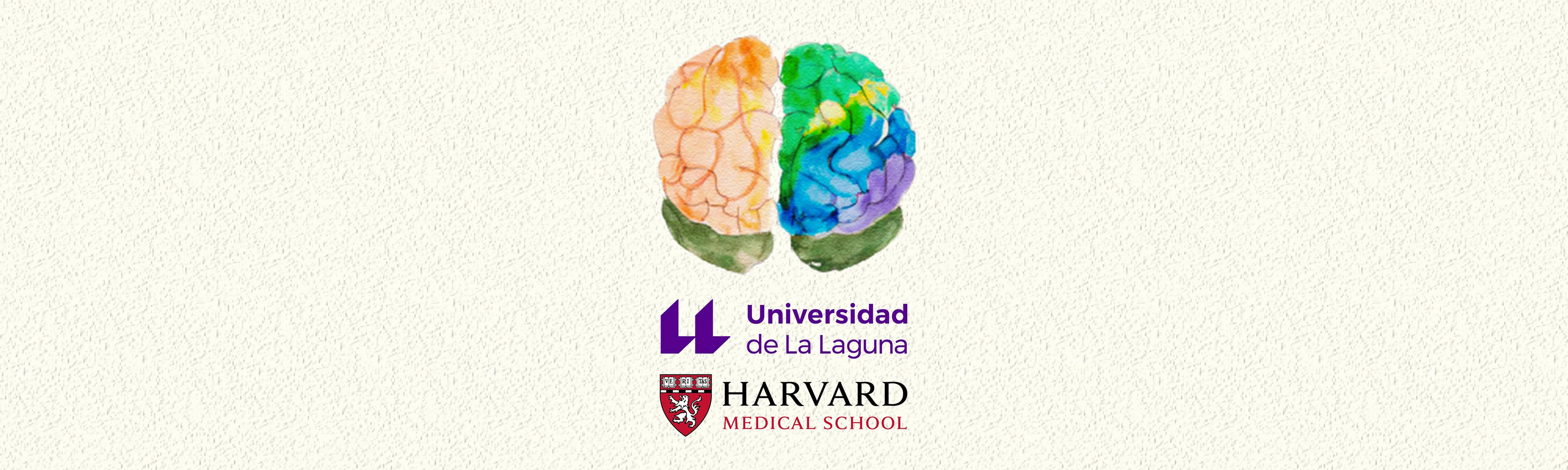 Artistic illustration of a colorful brain underlying which are positioned the logo of Universidad de La Lagura and the logo of Harvard Medical School.