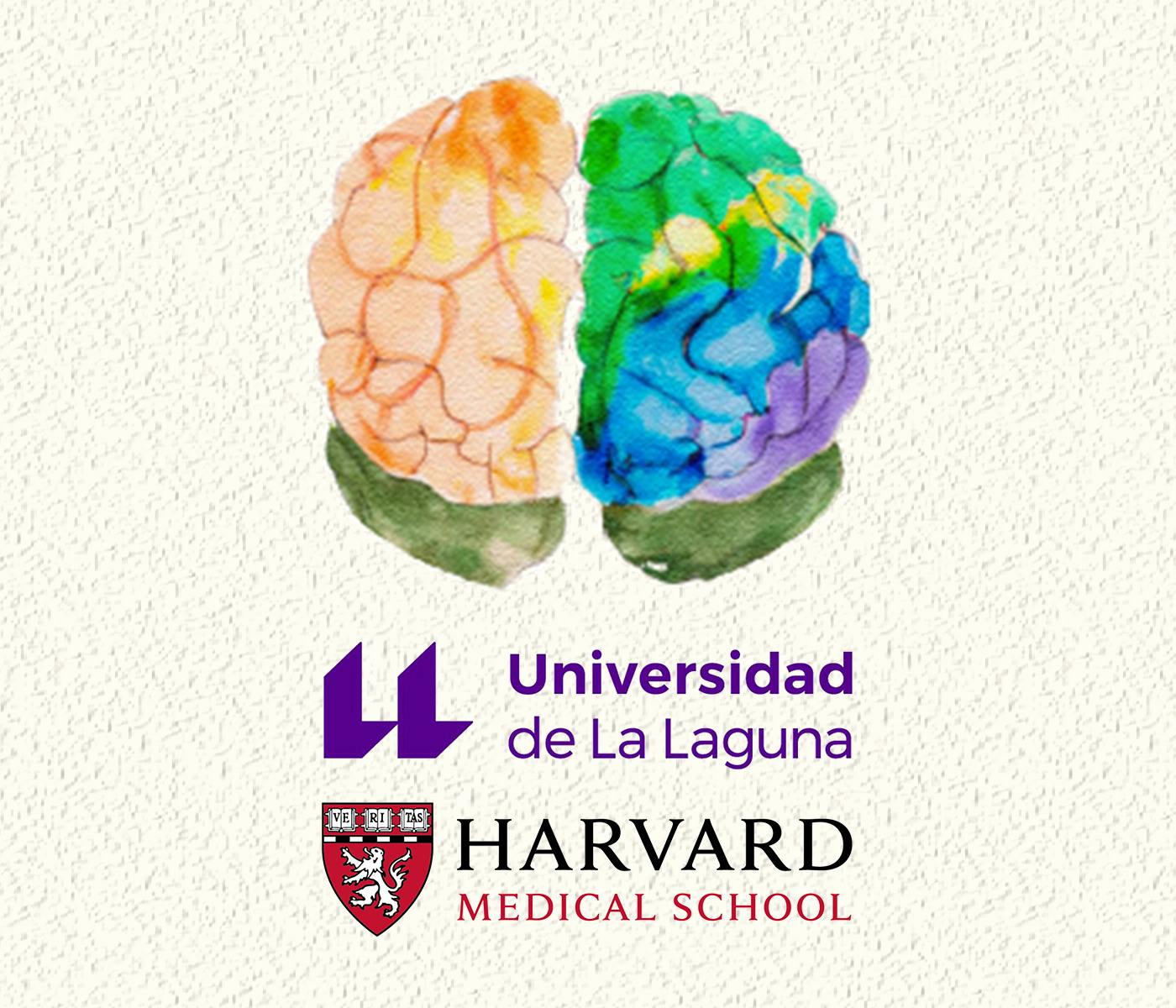 Artistic illustration of a colorful brain underlying which are positioned the logo of Universidad de La Lagura and the logo of Harvard Medical School.
