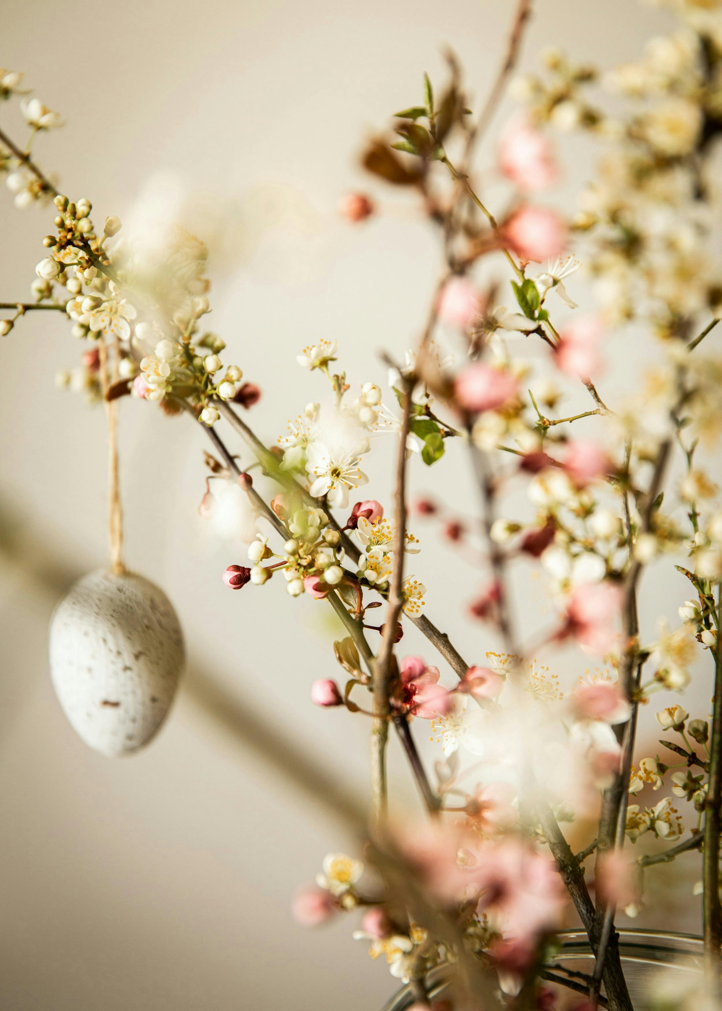Branches of fruit plant with flowering gems with an egg hanging by a string of twine.