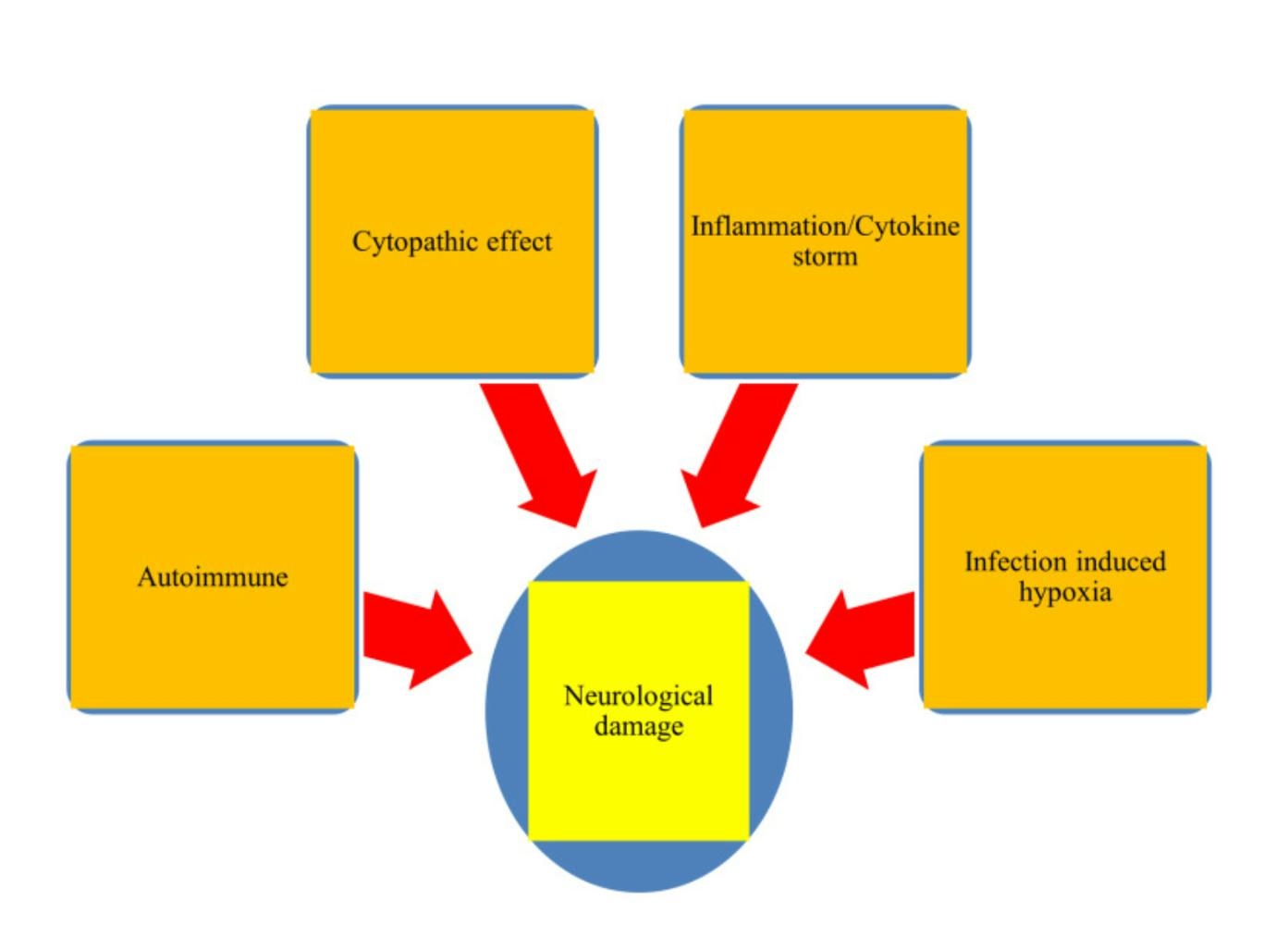 Schema