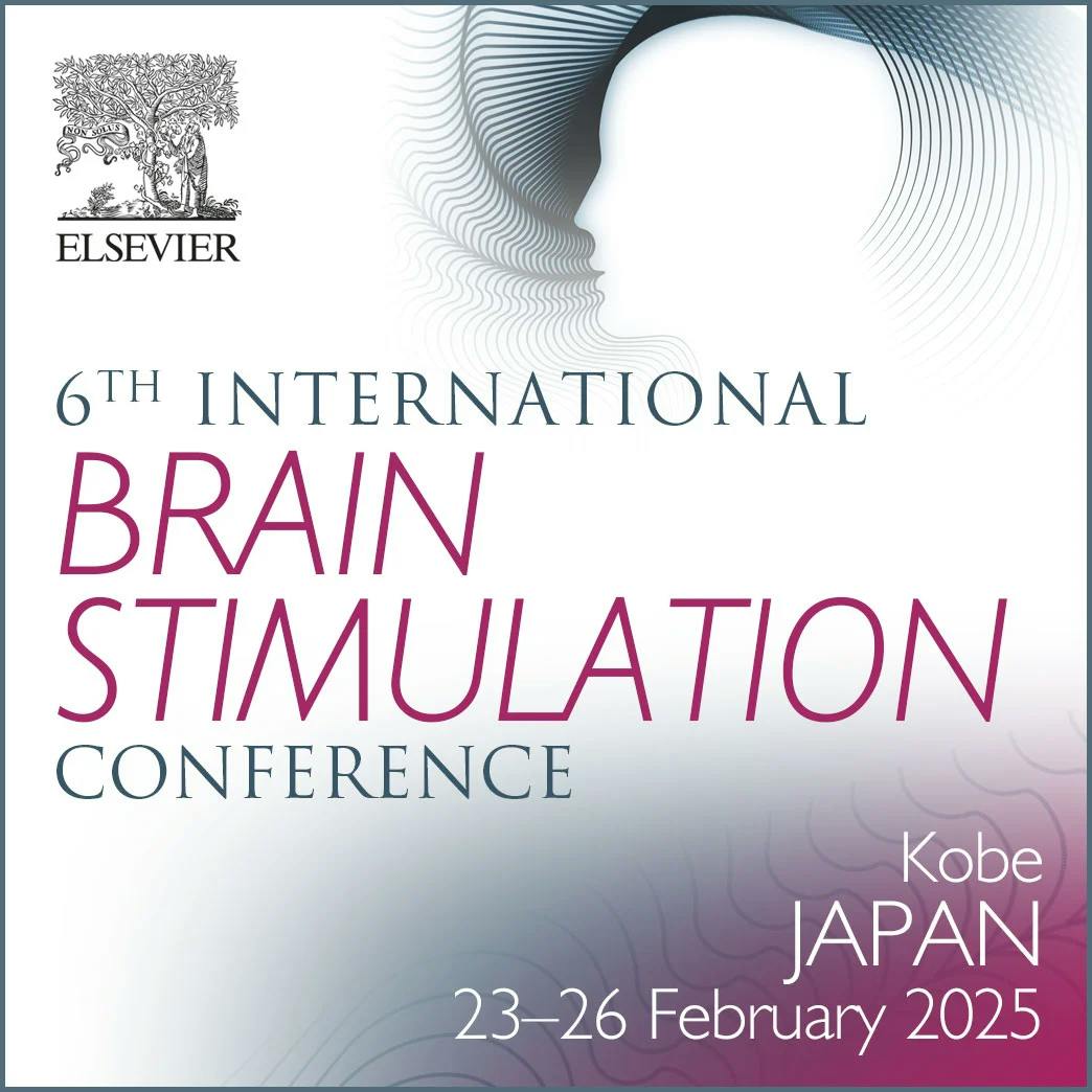 Brain simulation