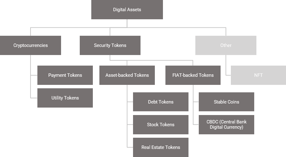Figure 1: Categories of digital assets covered in this study