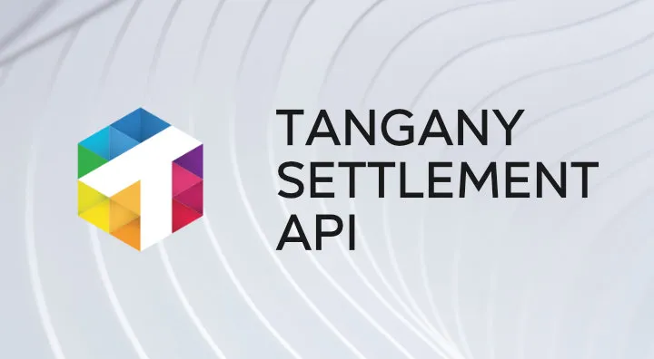 Picture of a Graphic of the Tangany Settlement API