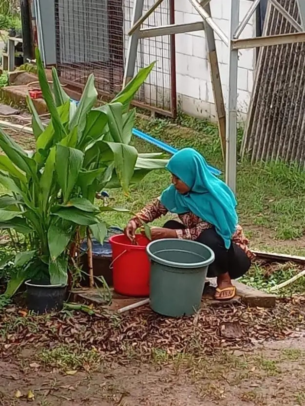 Cover Image for Bahagia