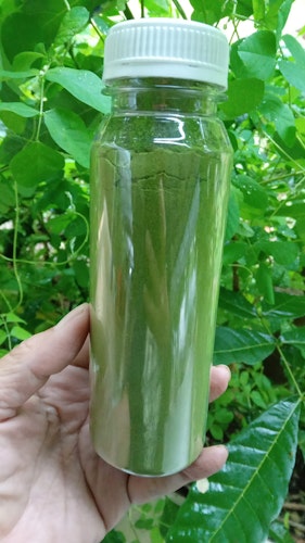 Cover Image for Kelor powder