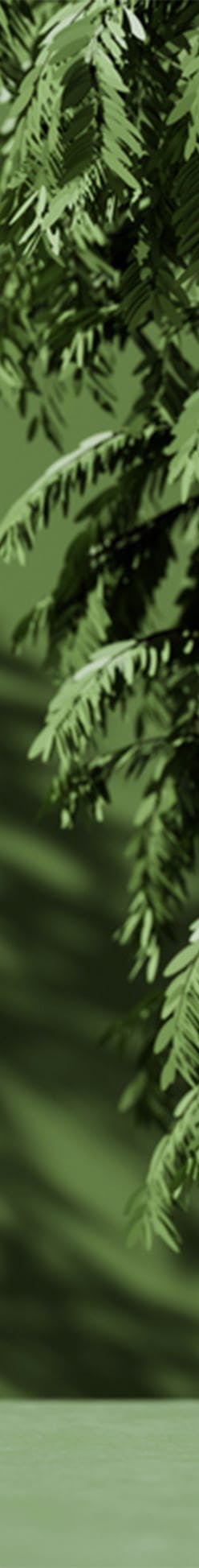 bushes against green background