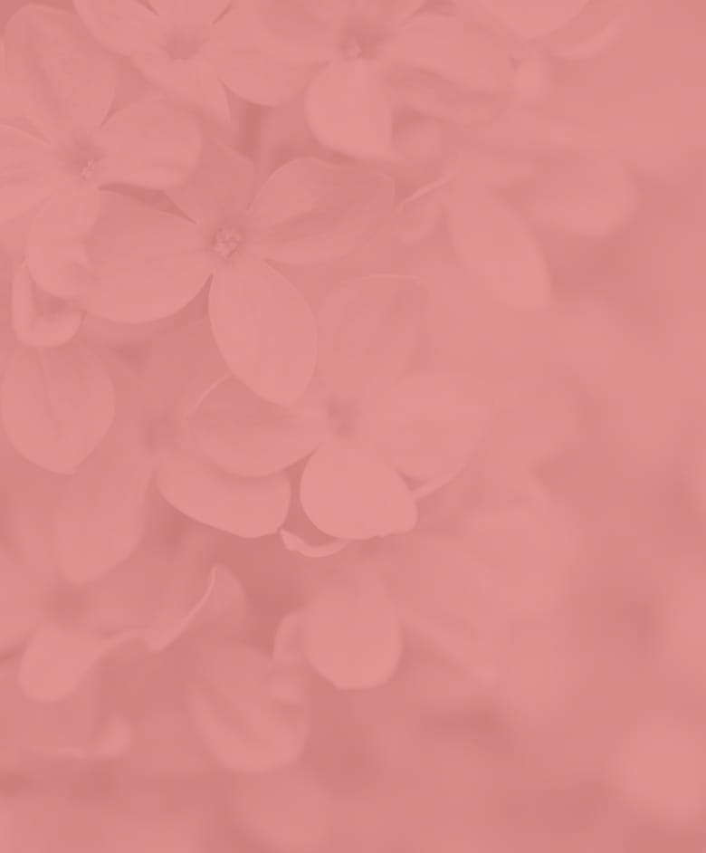 Background media