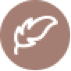 Feather Icon