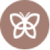 Butterfly Icon