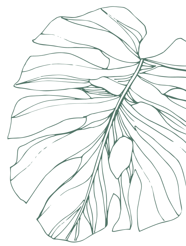 Leaf accent image