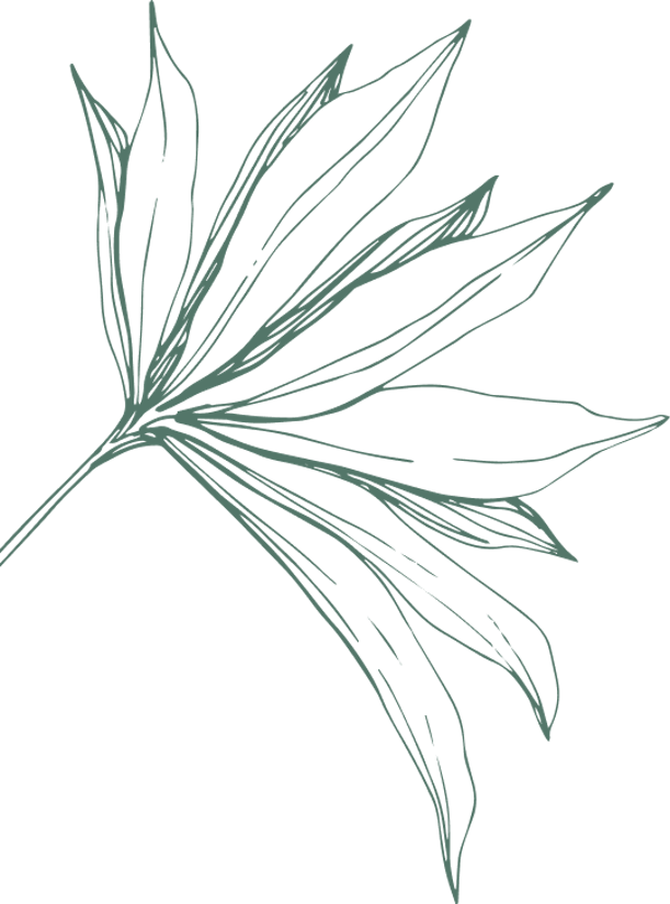 Leaf accent image