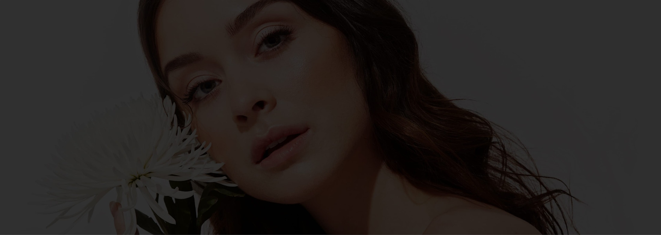 Banner media