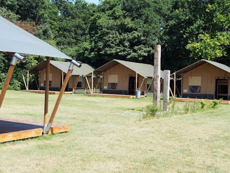 Op deze afbeelding is de groepsaccomodatie te zien van het zomerkamp Breinspoken. Deze accommodatie bestaat uit 5 grote safaritenten.