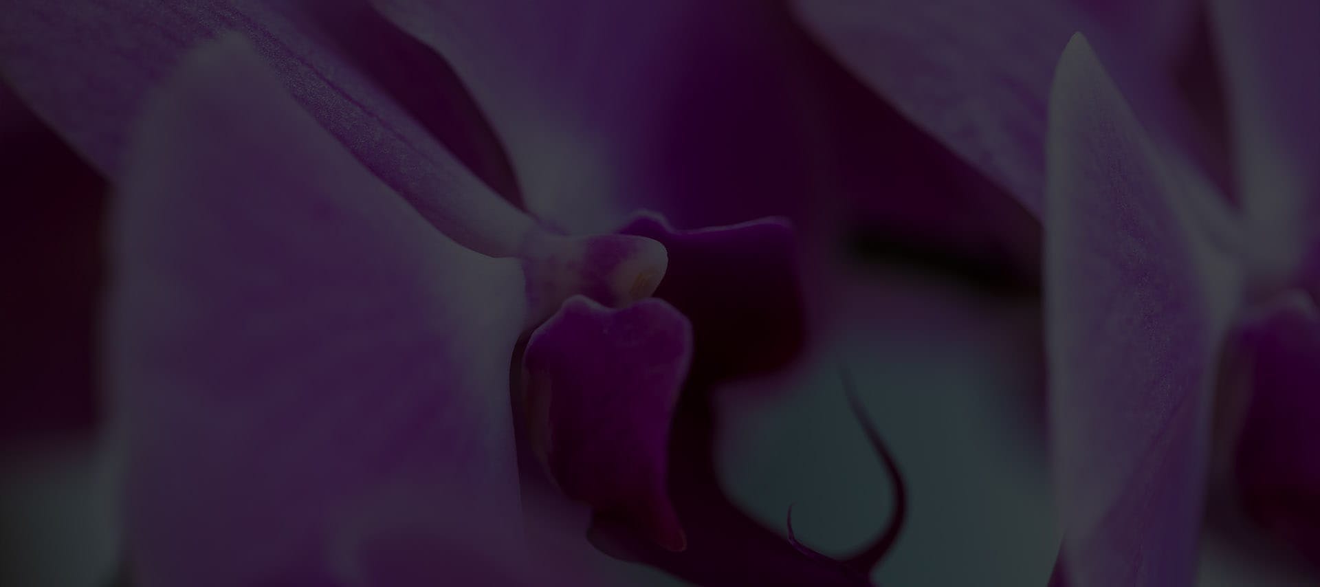 Background media