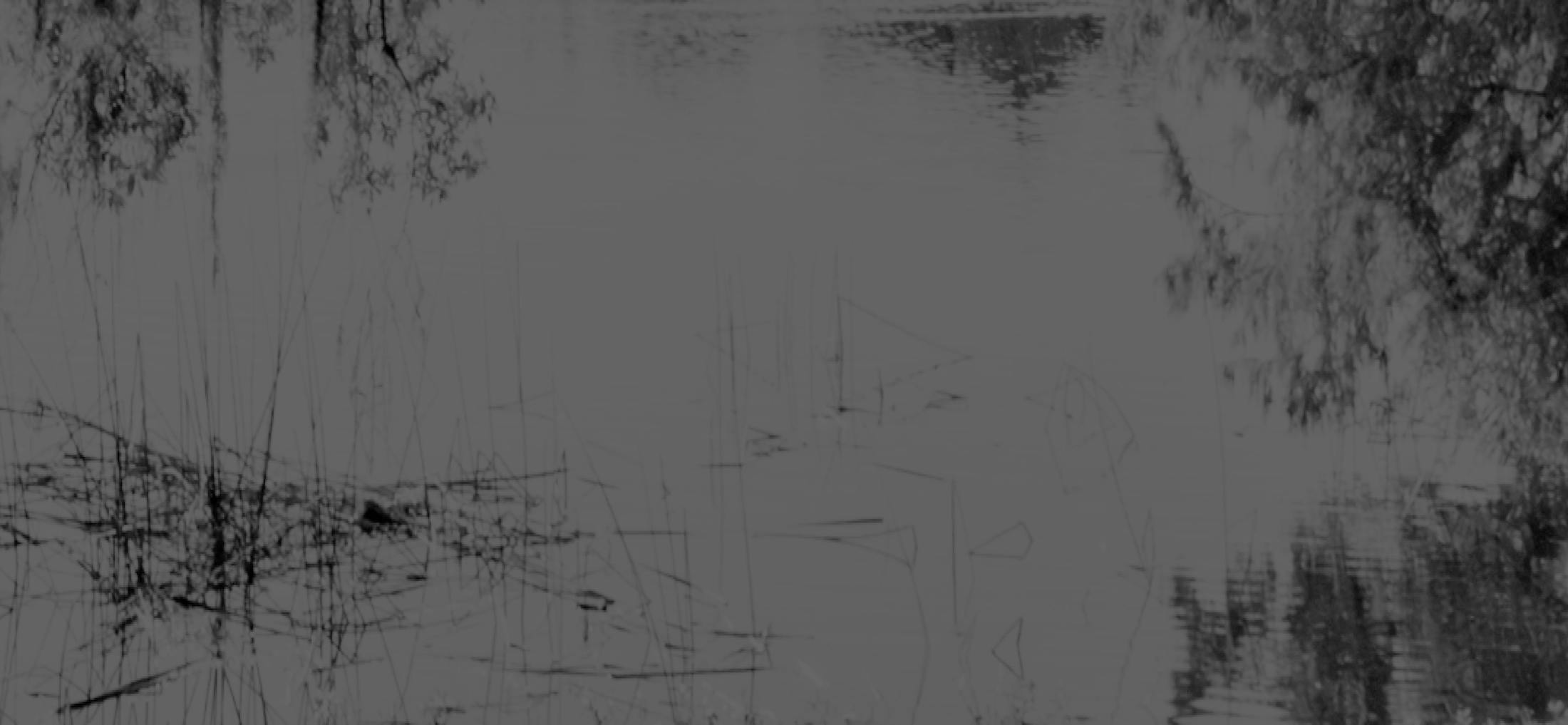 Background media
