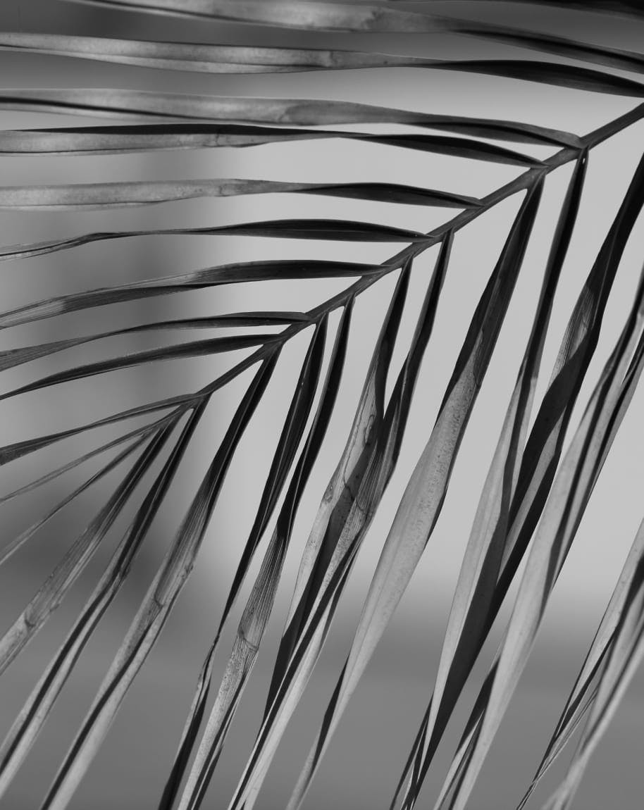 a close up of a palm frond