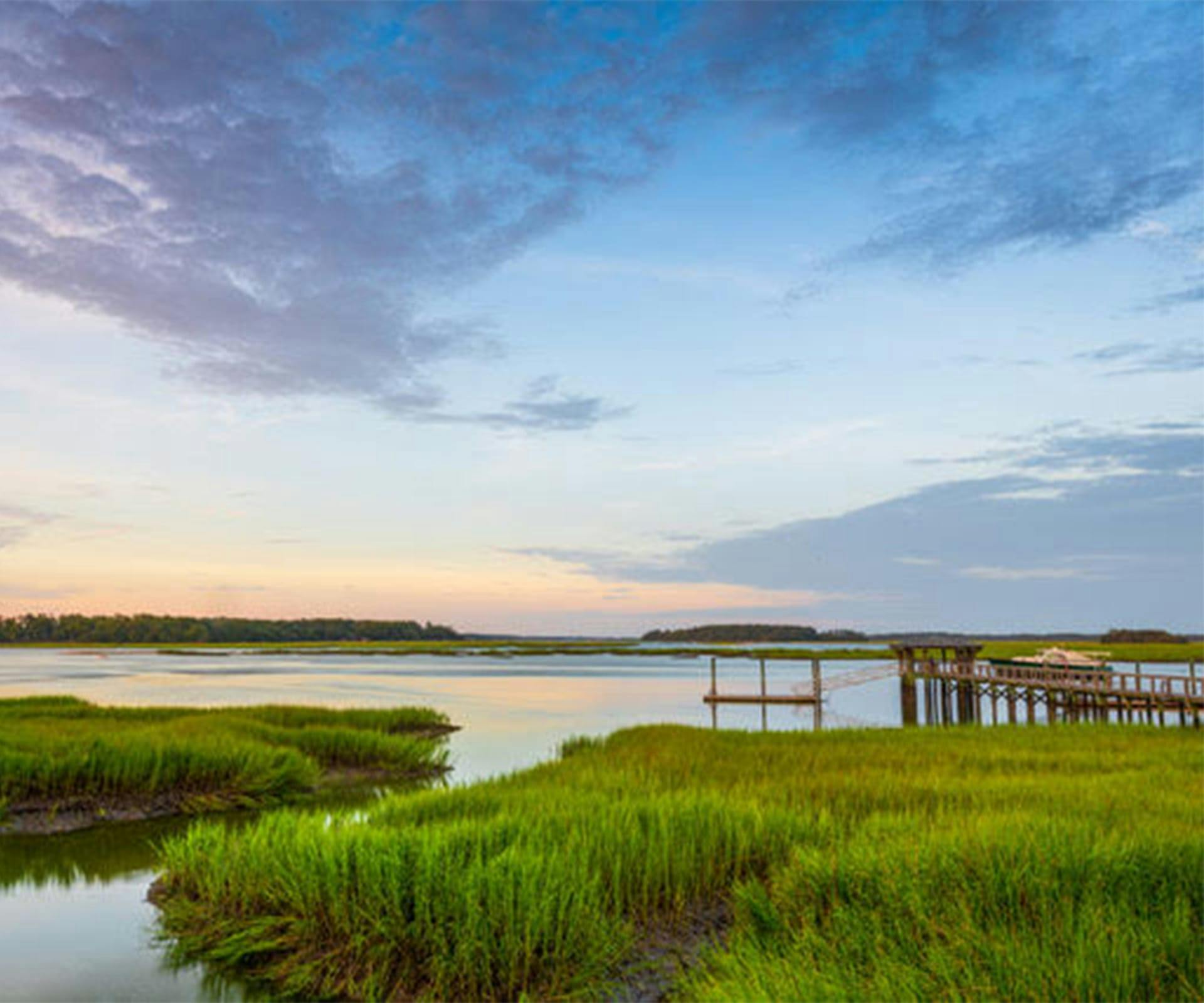 sunset on a lake with water bushes