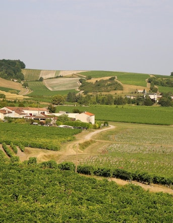 investir à Cognac