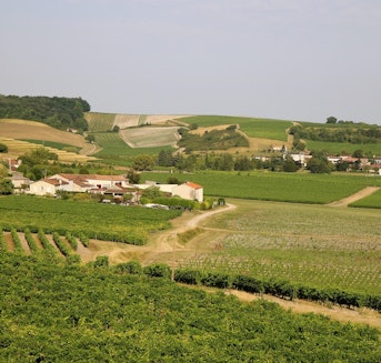 investir à Cognac