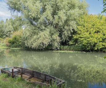 investir à niort - marais poitevin