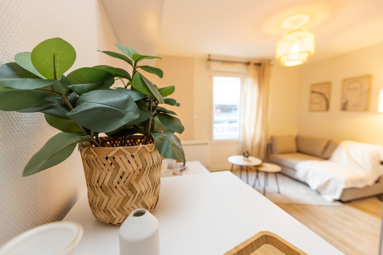 projet d'investissement de victor apres renovation