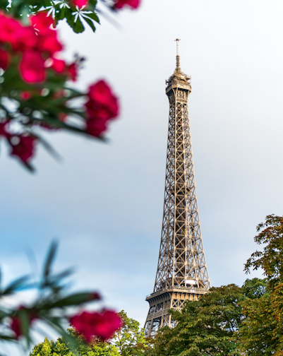 vue sur la tour eiffel