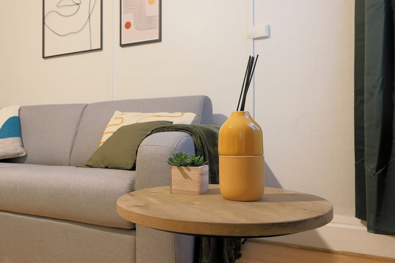 salon apres renovation dans studio lille