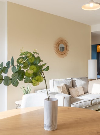 pot de fleur pessac appartement colocation