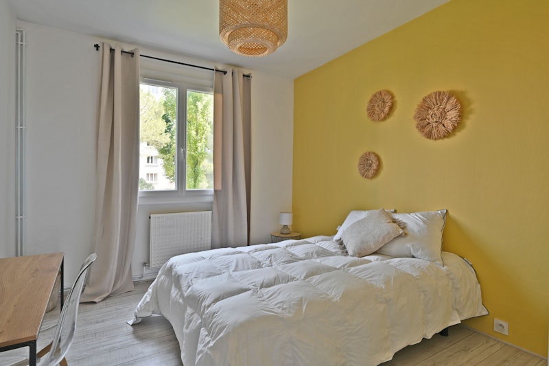 chambre dans colocation montpellier