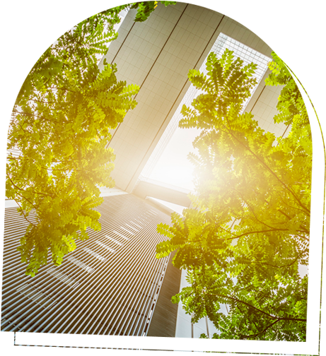 vue en contre plongée de bâtiments et arbres
