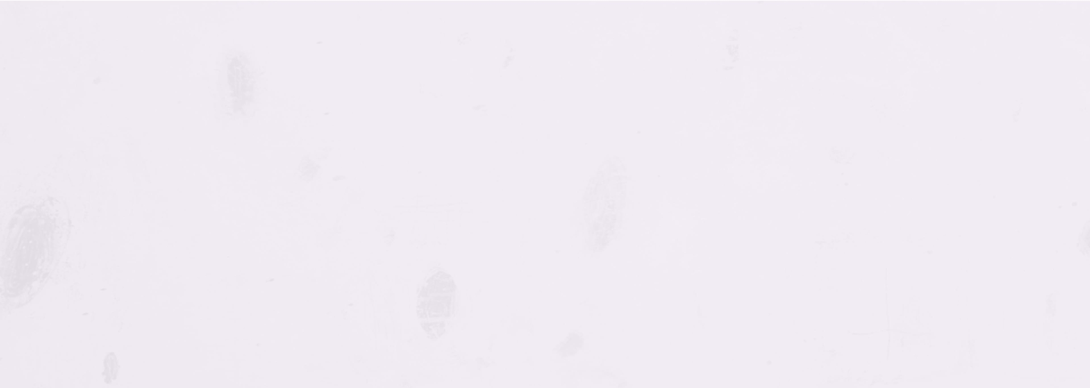 Background media