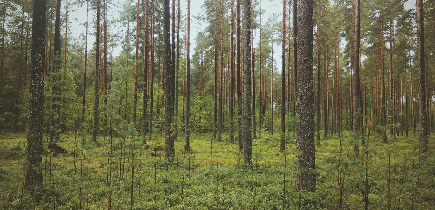 Carbon neutrality at Adarga