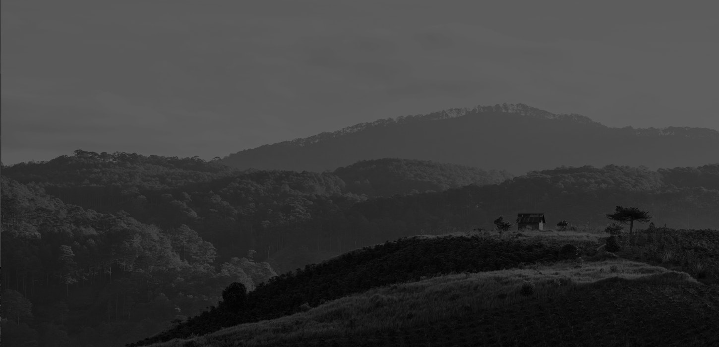 AI-Enriched Research Report: Southeast Asia's Emerging Geopolitical Order and China’s Influence