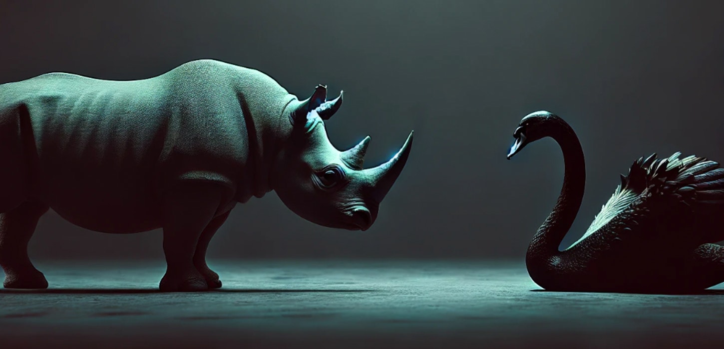 Horizon scanning: experts explore ‘Black Swans’ and ‘Grey Rhinos’ at Adarga’s latest panel discussion