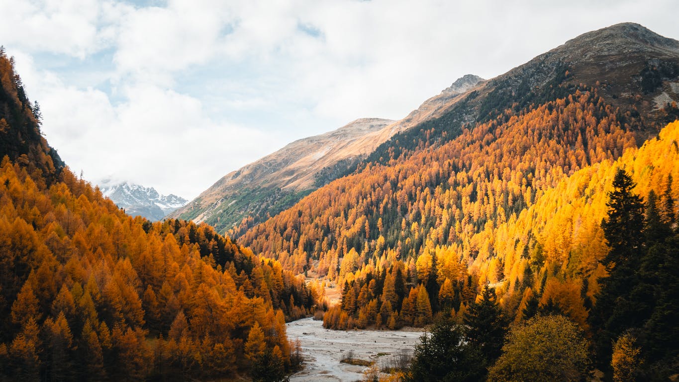 November 2025: Lessons From Chaos - Building, Growning & Giving Thanks