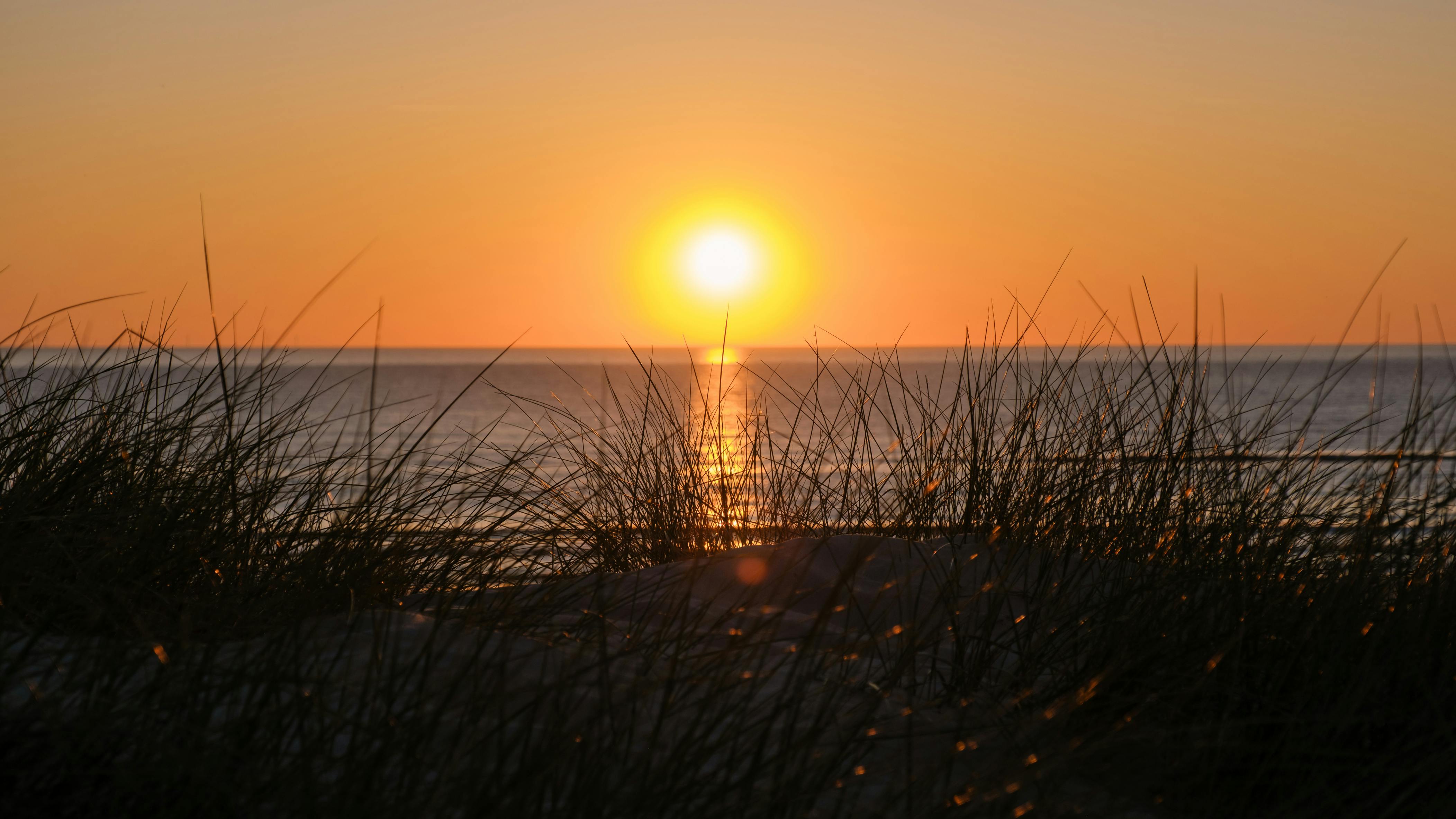 July 2022: The Summertime Grind  