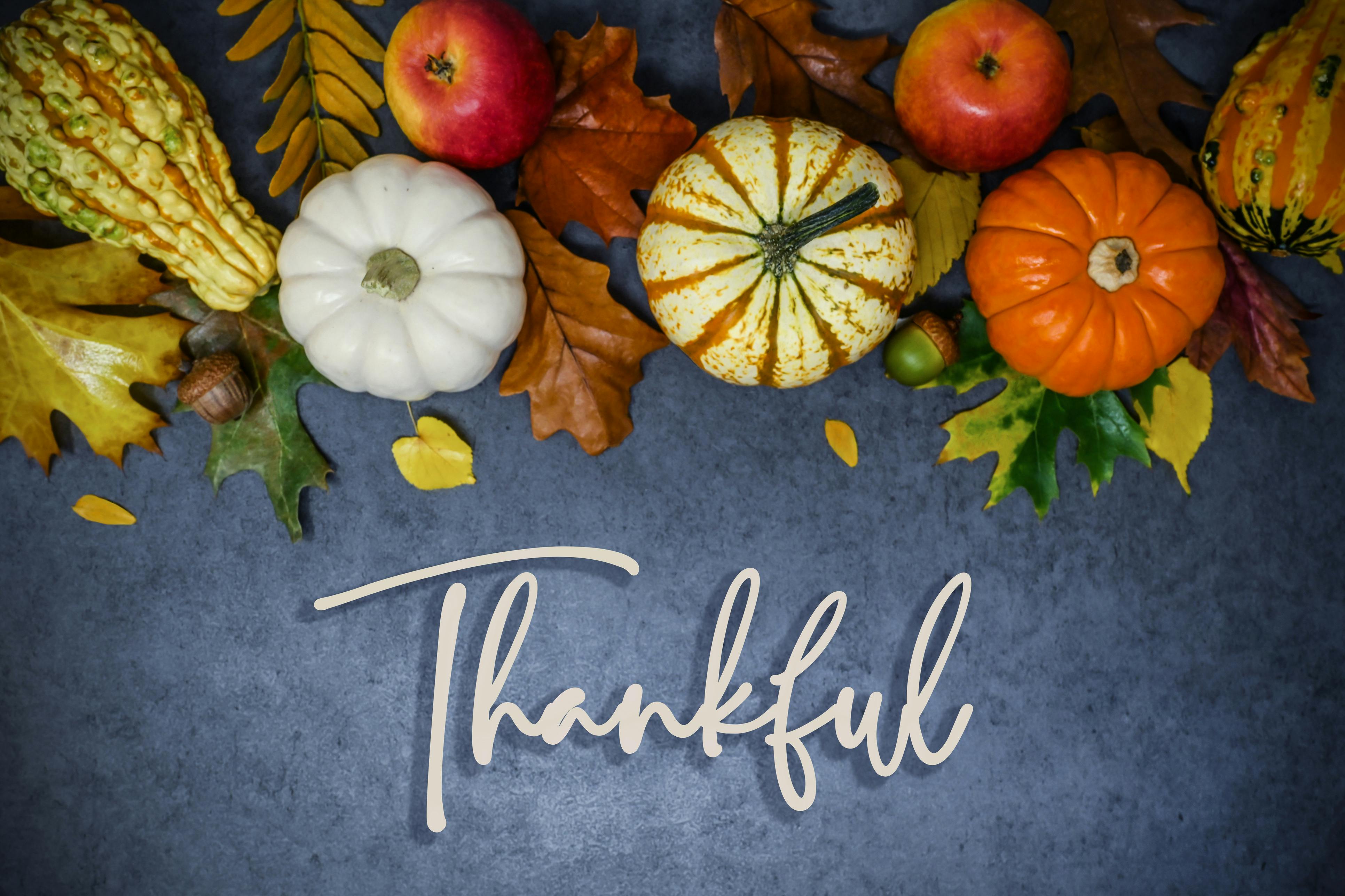 November 2022: A Grateful Heart 