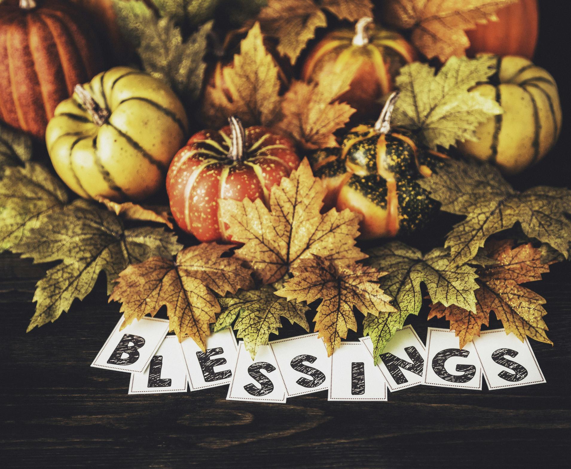 November 2023: Counting My Blessings: A Heartfelt Thank You 