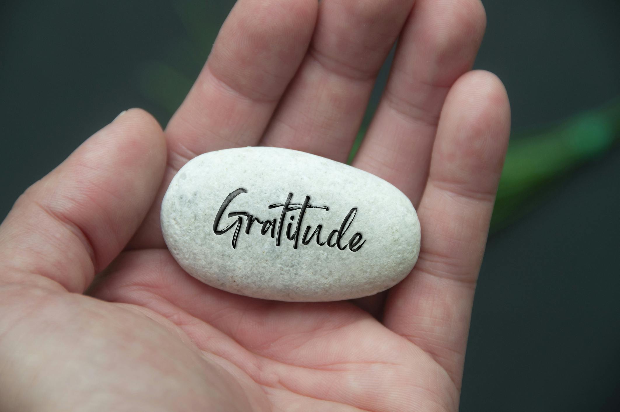 September 2023: The Art of Gratitude: Cultivating a Thankful Heart 