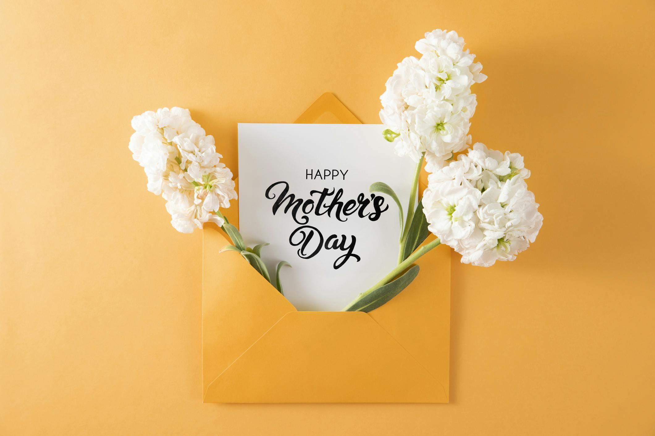 May 2024: A Toast to All Moms 