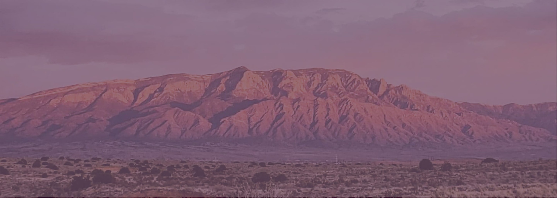 Banner media