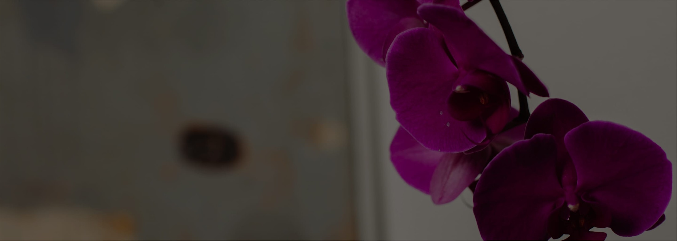 Banner media