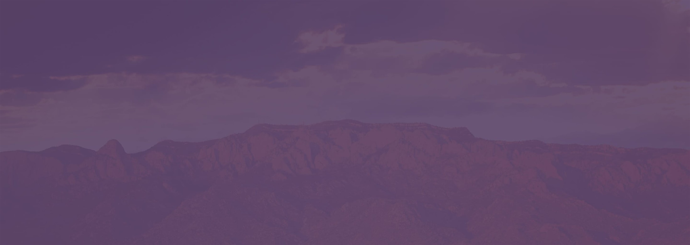 Banner media