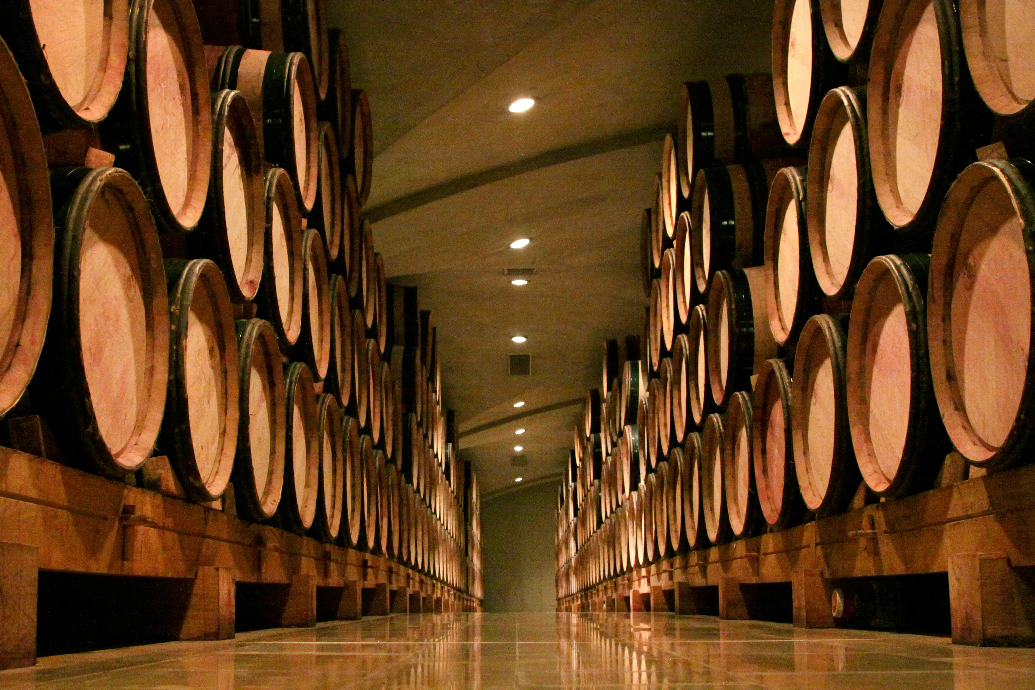 Stockage des barriques du Domaine E.Guigal.