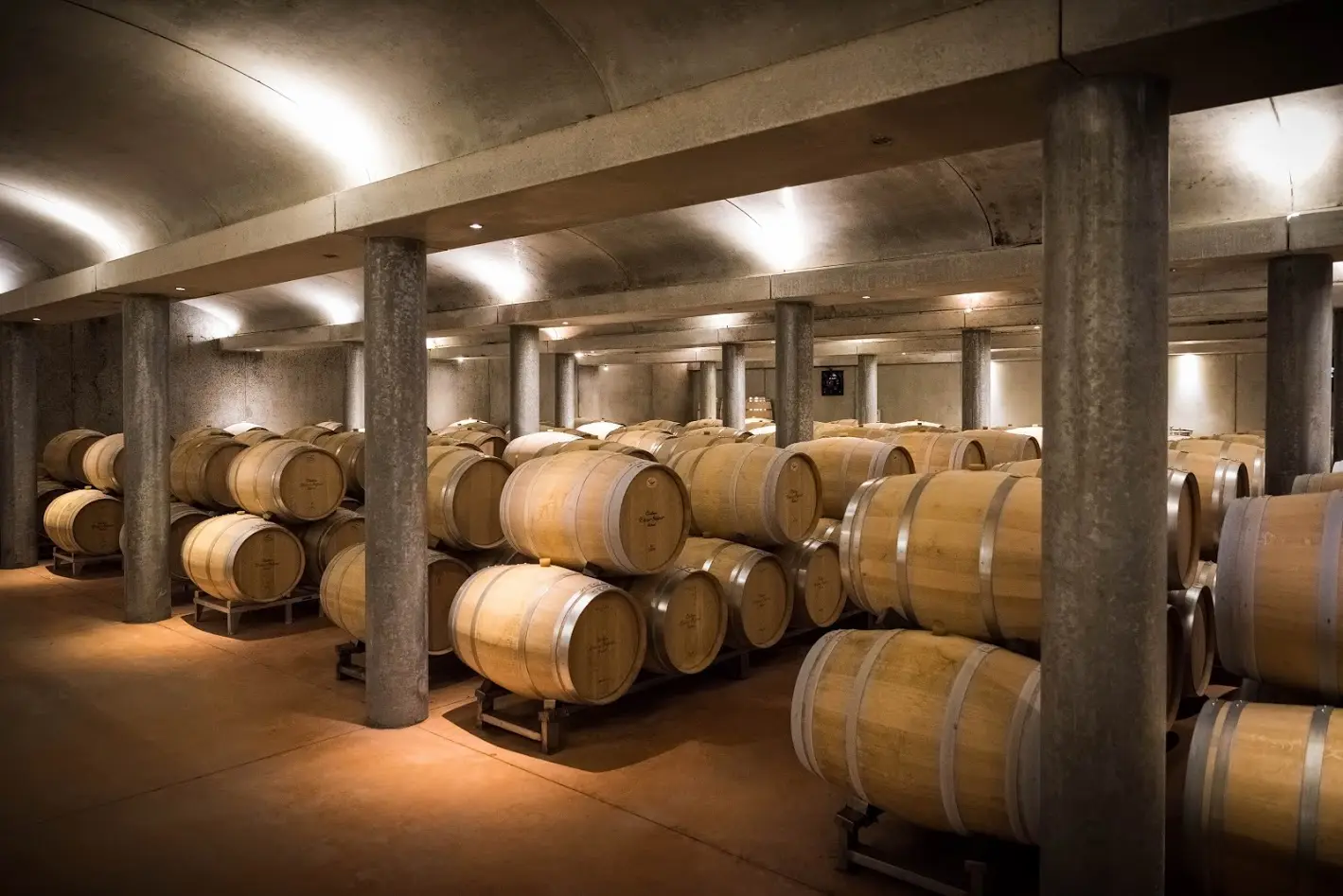 Cellar of Château Beau-Séjour Bécot