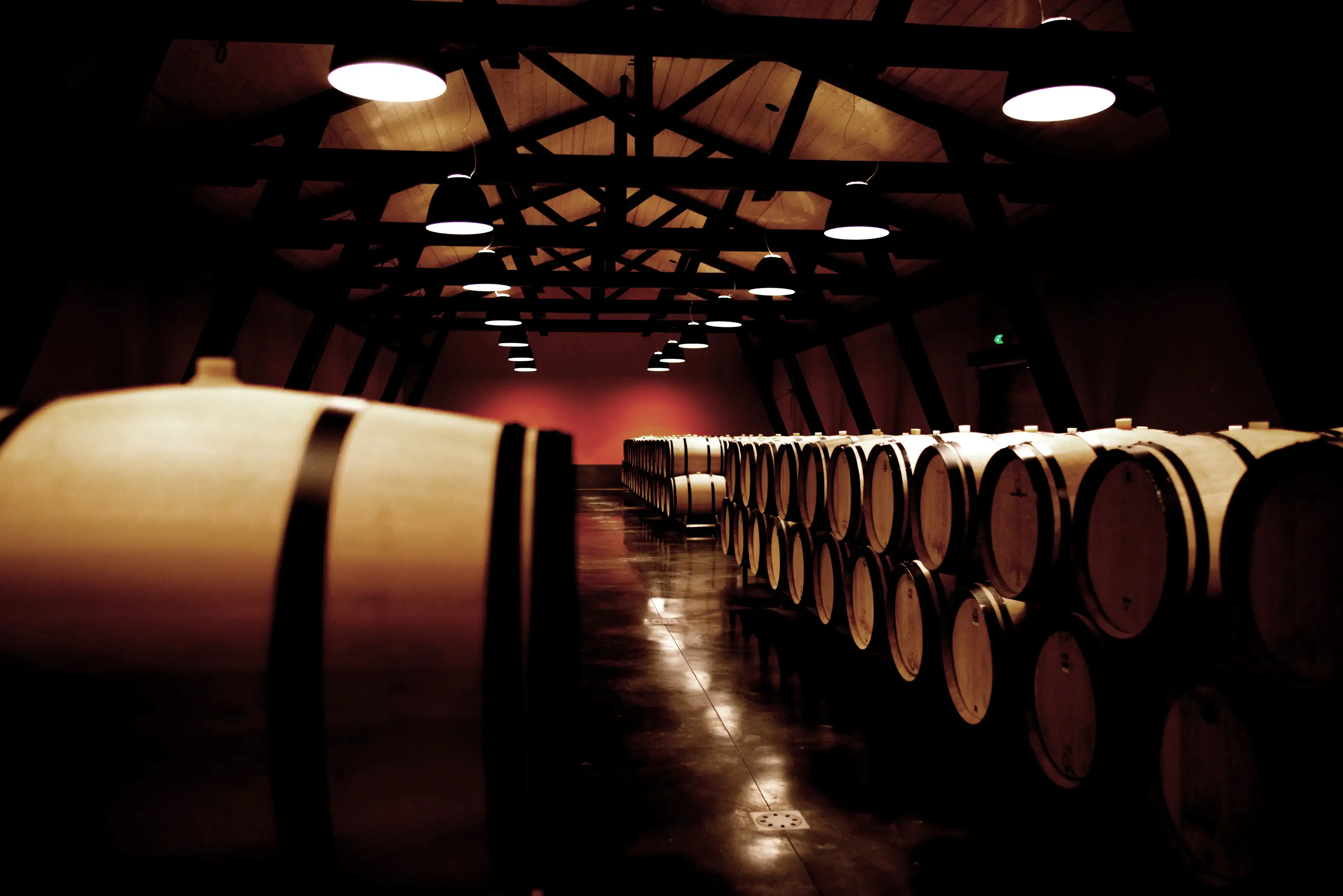 Cellar and barrels at Château Barde-Haut