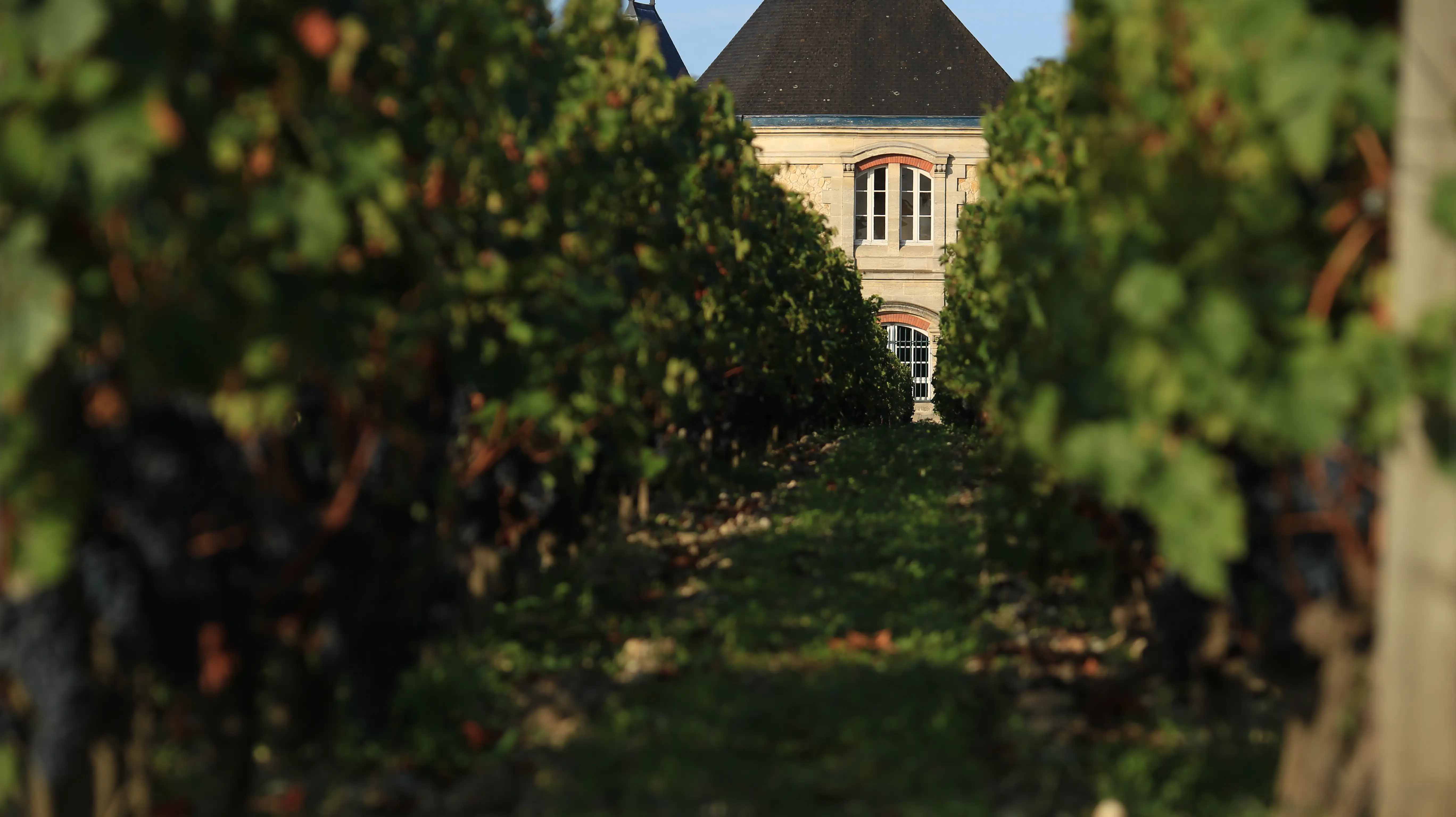 Château Dufort-Vivens